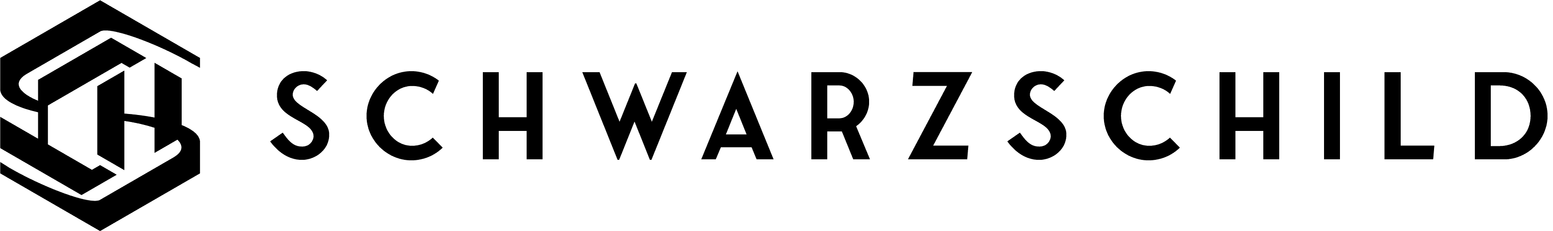 Schwarzschild AG