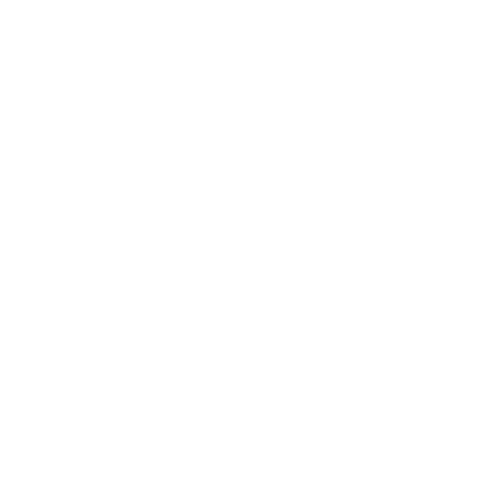BV4