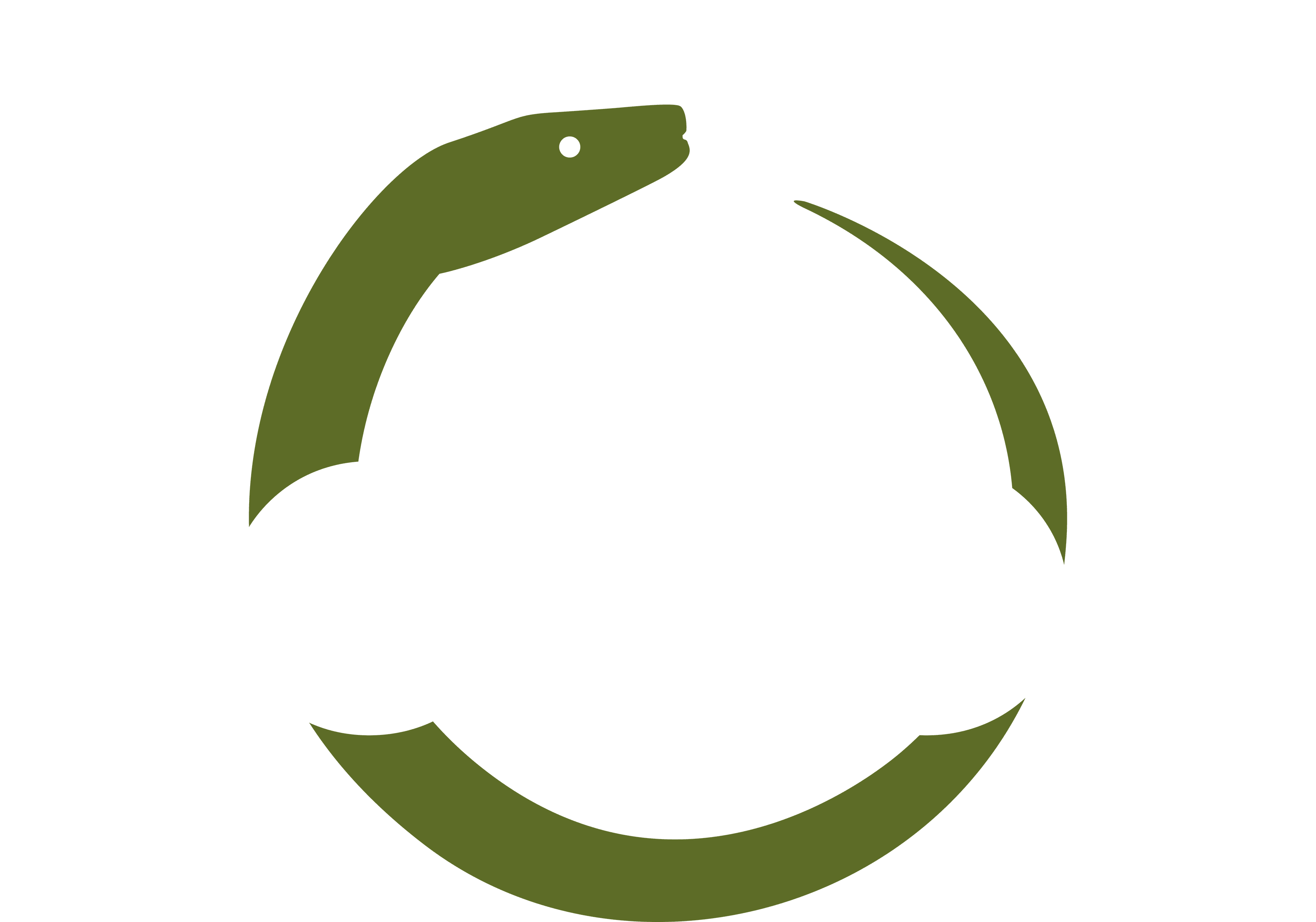 RoBoa